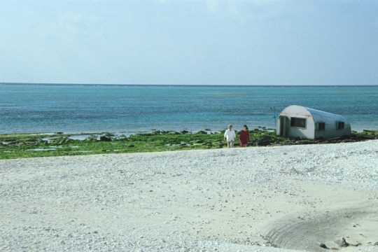 シェル・コレクター